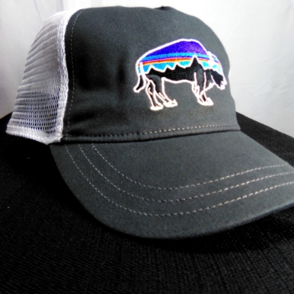 Patagonia Other - Patagonia snap back trucker hat mesh back multicolor buffalo